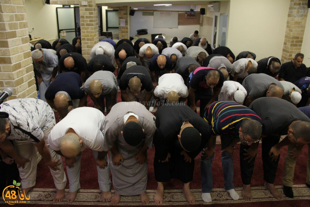 trawe7 mohamed fateh (24).jpg